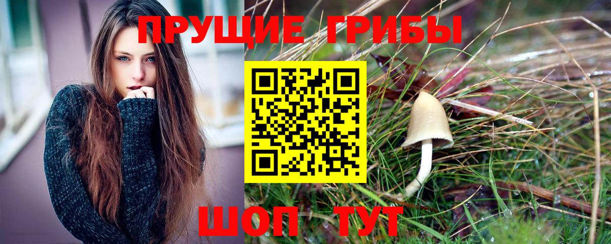 Псилоцибиновые грибы MAGIC MUSHROOMS Свободный