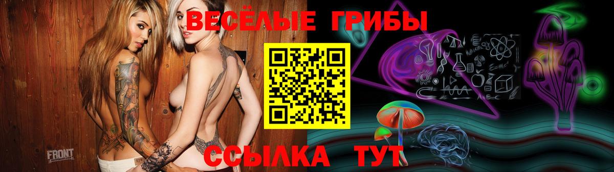 Псилоцибиновые грибы ЛСД  Псилоцибиновые грибы Cubensis  Свободный  наркотики  Вход с VPN 