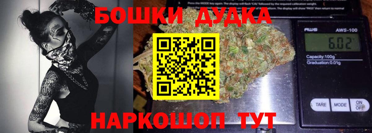 Конопля сатива Свободный